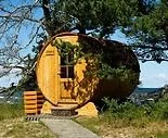 sauna w ogrodzie