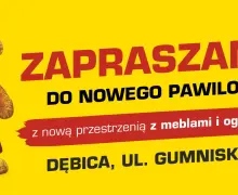 Dębica, ul. Gumniska 8