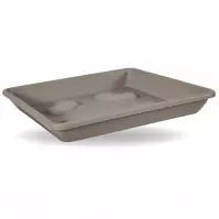 Misa Quadrato 20x20 cm beż avana