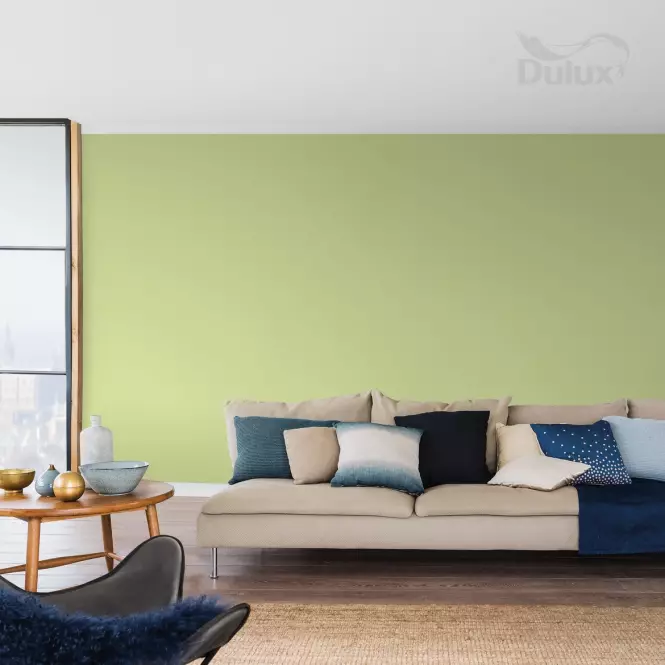 Dulux Kolory Świata Lateksowa Emulsja Do Ścian i Sufitów Bambusowy Gaj 2,5l,3