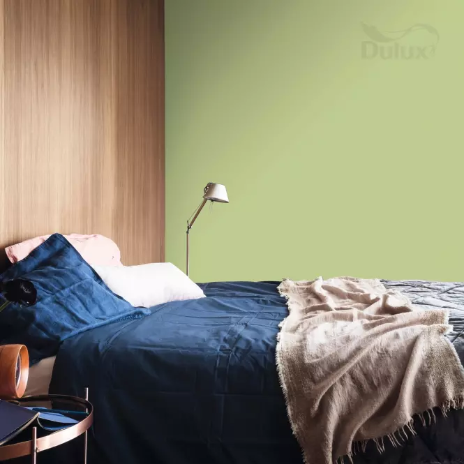 Dulux Kolory Świata Lateksowa Emulsja Do Ścian i Sufitów Bambusowy Gaj 2,5l,4