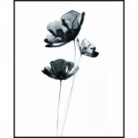 Deco Box 40x50 Czarne Maki