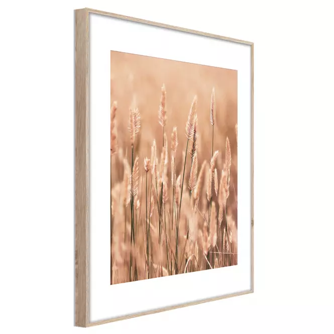 Artbox Digi 50x70 Ab079 Grasses II