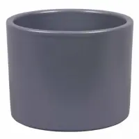 szary