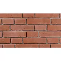 Kamień Betonowy Booklyn Red