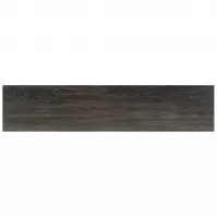 Terakota Olmo negro 19,5/119,5