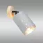Lampa DAFNE AS-DAE141BR LS1