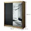 Szafa Halifax T2 180 Dąb Artisan/Czarny/Lustro,2