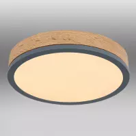 Plafon 416080WD1R LED 12W grafit PL