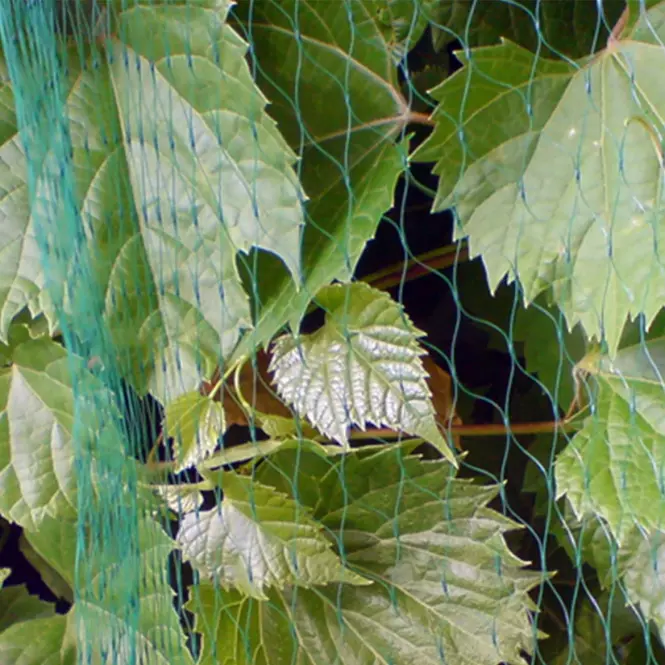 Siatka Bird net 10G/ m2  19X19mm 4X10m