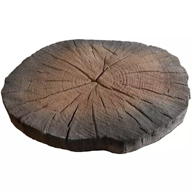 Płyta Deptakowa Pień Cas1 (Betonowa) fi 32-37 cm