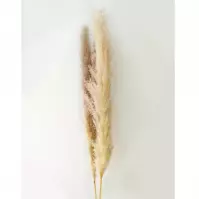 Sztuczna trawa pampasowa 150 cm