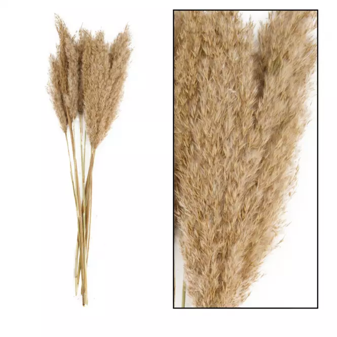 Sztuczna trawa Plume 80-90 cm