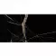 Panel ścienny SPC Calacatta Black VILO 30x60cm 4mm,3