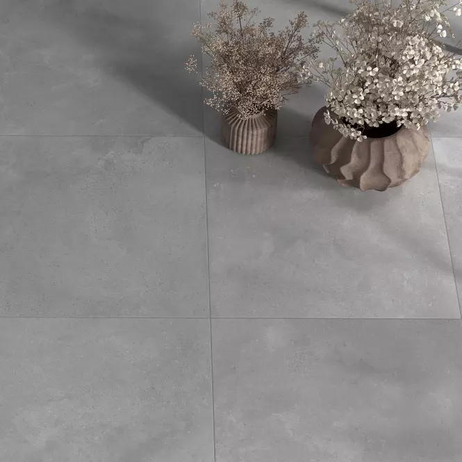 Gres Delano Light Grey 59.7/59.7