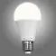 Żarówka Led A60 10W E27 ZL4010