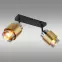 Lampa Milley 15560-2 LS2