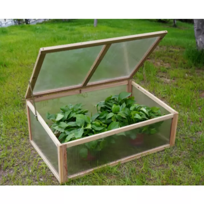 Szklarnia drewniana 08895-QS19 akacja 64.2X100X40 cm