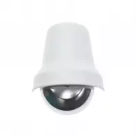 Dzwonek Tradycyjne DNS/T-206