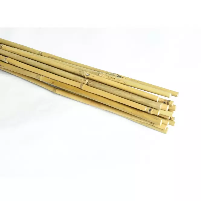 Palik bambusowy 120 cm 08/10 mm 20 szt.