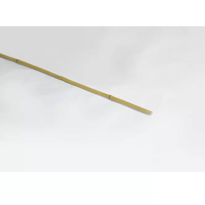 Palik bambusowy 150 cm fi 12/14 mm