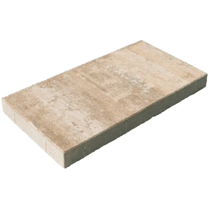 Płyta brukowa Lamos wapień muszlowy 60x30x5 cm
