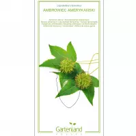 Ambrowiec amerykański C2