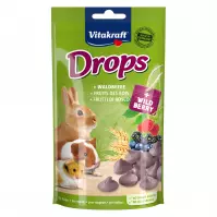 Drops 75 g owoce leśne przysmak dla gryzoni