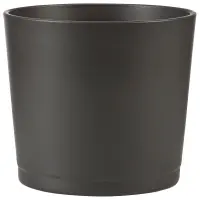 antracyt
