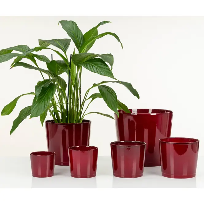 Osłonka dark red 883/13