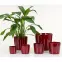 Osłonka dark red 883/17,2