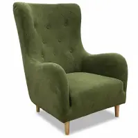 Fotel Benetto Gerra 50 dr.oo/1 lakier zielony