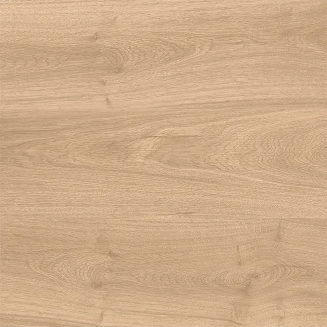 Latina Beige 60/60/2