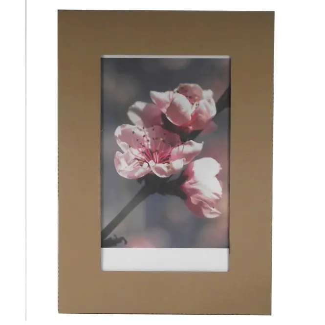 Antyrama 40x50 cm plexi