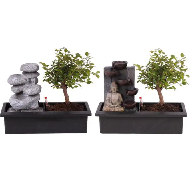 Bonsai in zen stone with waterfall 29/30