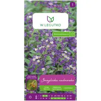 Smagliczka nadmorska mieszanka