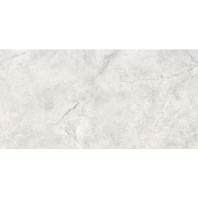 Arcos Light Grey Glossy 29,8/59,8