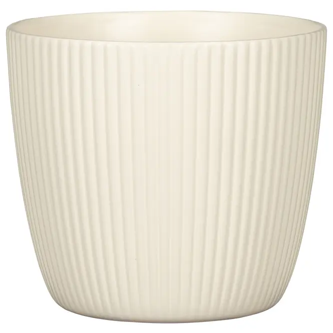 Osłonka Aura Creme 842/19