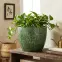 Doniczka IP24-017 22x22x18 zielony,3