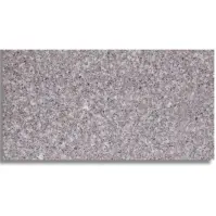 Płyta granitowa grey G664 30,5x61x1cm połysk