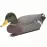 Dekoracja kaczor mallard 36864
