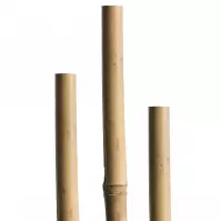 Tyczka Tonkin 150cm 12/14mm 05609