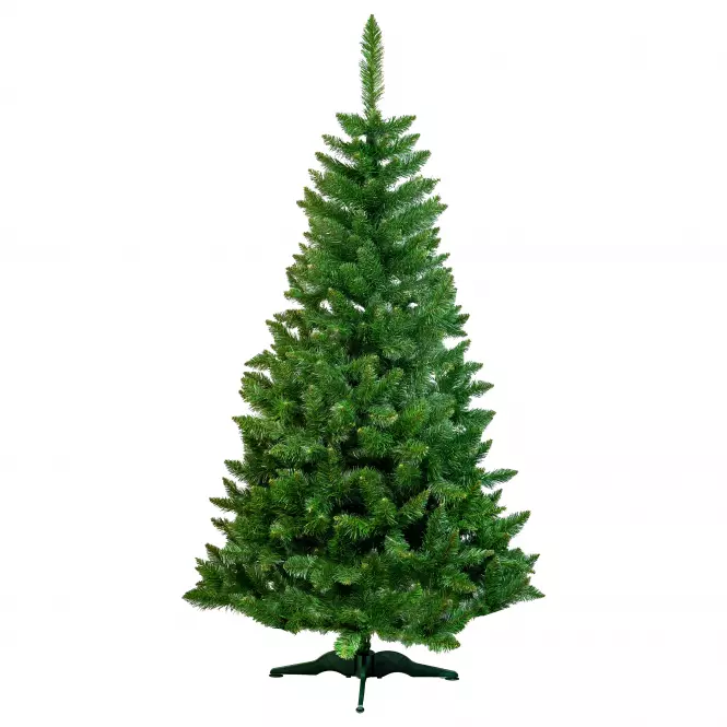 Choinka sosna extra 250 cm.