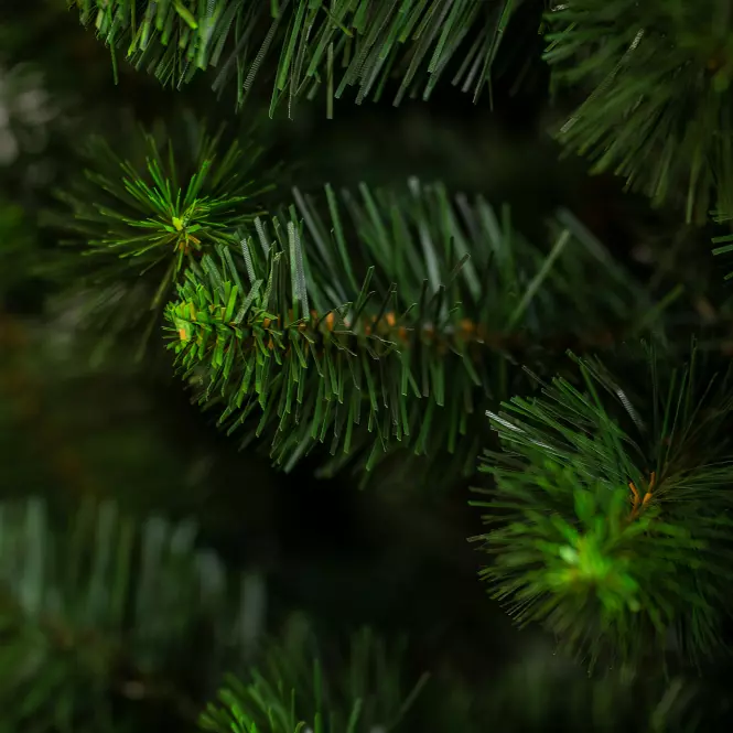 Choinka sosna z końcówką zieloną 220 cm.