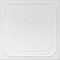 Kaseton styropianowy biały 0820  1 opk = 2 m2