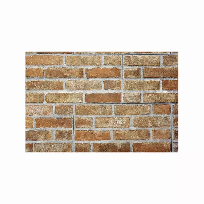 Kamień gresowy Brick red 31/62