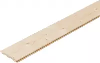 Boazeria Podbitka świerkowa Tatran 14X96X2000
