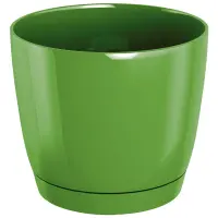 zielony