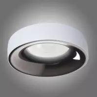 Oprawa Elnis L W/A 27805