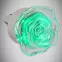 Lampa wtykowa Kwiat HL993L0,4W Green